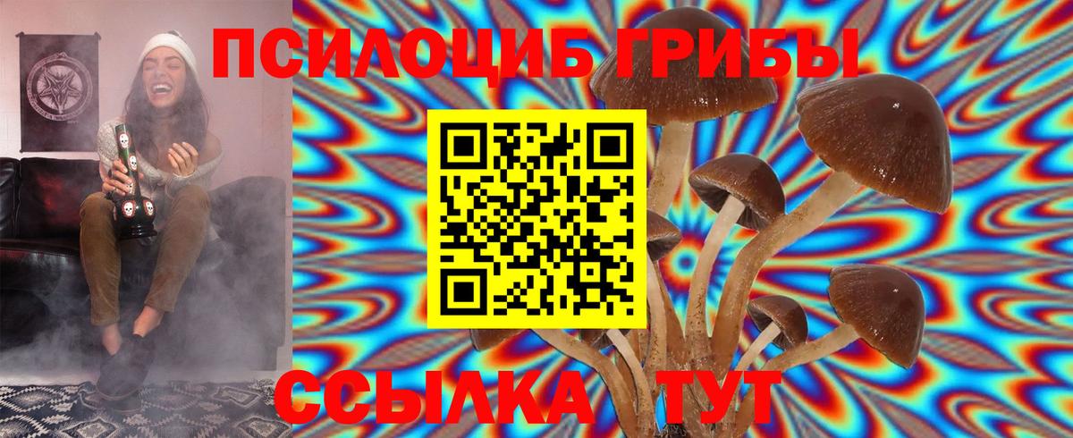 Галлюциногенные грибы GOLDEN TEACHER  Вход с VPN  Назрань  Псилоцибиновые грибы Psilocybe 