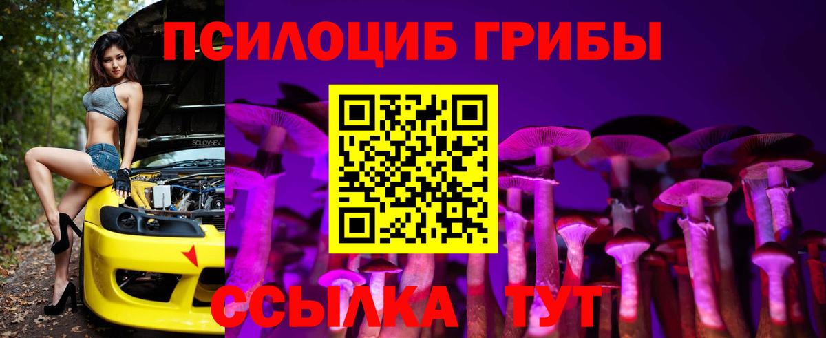Галлюциногенные грибы MAGIC MUSHROOMS Назрань